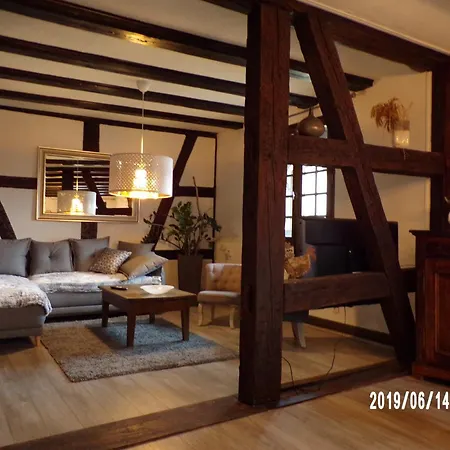 아파트 Duplex Saint Lustre, View Over Castle And Storks, 5 Mn From Colmar 엥기쉬하임