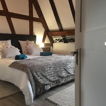 아파트 Duplex Saint Lustre, View Over Castle And Storks, 5 Mn From Colmar *